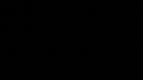 Alexa Dellanos y Alec Monopoly pasan la cuarentena en las playas de Puerto Rico.