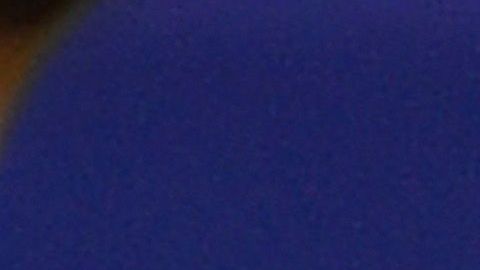 El Draft 2020 de la NFL vía remota abrió la puerta a la indiscreción.