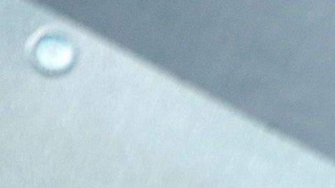 LOS ANGELES, CALIFORNIA - JANUARY 19: Reese Witherspoon attends the 26th Annual Screen Actors Guild Awards at The Shrine Auditorium on January 19, 2020 in Los Angeles, California. 721430 (Photo by Gregg DeGuire/Getty Images for Turner)