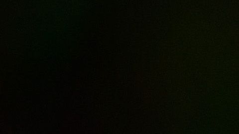 Rodrigo Holgado conducía el auto al momento del impacto.