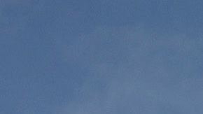 Walmart coronavirus COVID-19 muertes Aurora Colorado mascarillas salud