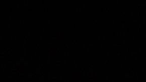 Netflix es el streaming líder a nivel mundial.