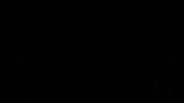 Netflix es el streaming líder a nivel mundial.