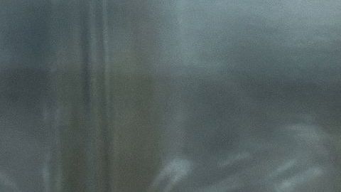 EEUU busca reabrir la economía a partir de mayo.