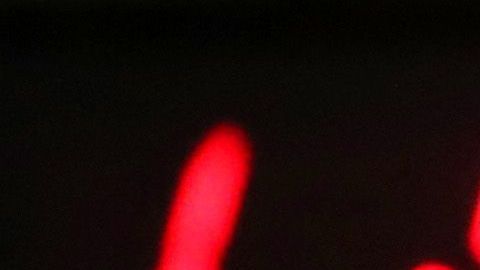 Gavin Newsom, gobernador de California.