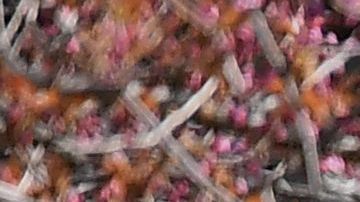 El país sigue registrando más de 2,000 muertes al día por coronavirus.