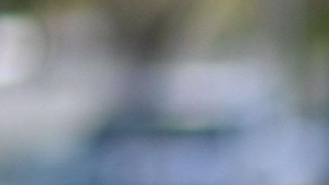 Indocumentados coronavirus