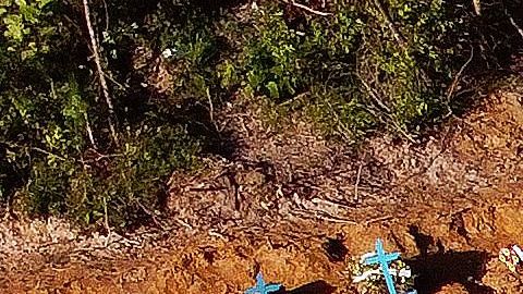 En la ciudad de Manaus están muriendo 100 personas al día.