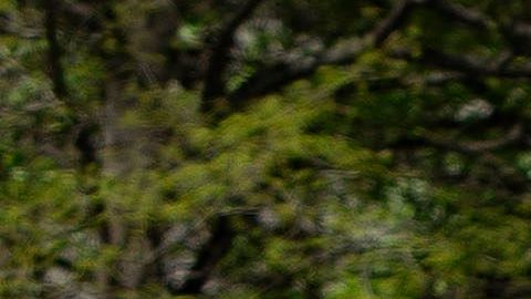 Seguidores de Trump presionan por volver a su vida cotidiana.