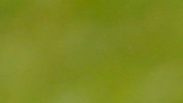 La camioneta en la que se encontraban recibió al menos 20 impactos de bala.