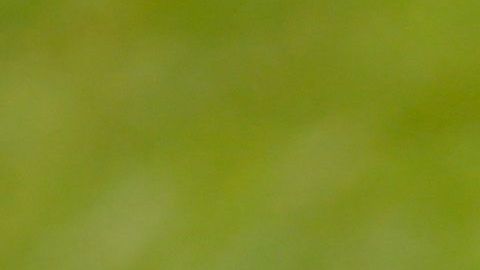 La camioneta en la que se encontraban recibió al menos 20 impactos de bala.