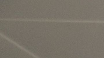 El proyecto de vacuna parece haber funcionado con animales de laboratorio.