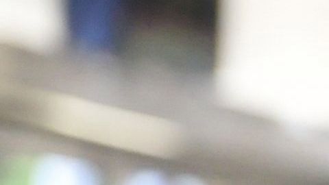 Trump adelantó que sería responsabilidad de las aerolíneas.