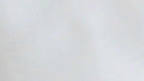 Donald Trump Lysol Reckitt Benckiser dettol coronavirus COVID-19 desinfectantes advertencia llamado salud virus peligro