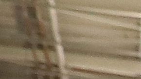 Costco coronavirus policías médicos salud Walmart primeros auxilios COVID-19 trabajadores