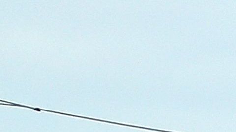 Burger King Whopper Steak 'n Shake estudiantes coronavirus COVID-19 gratis comida papas fritas promoción distanciamiento social