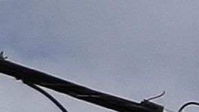 El comercio abriría en la segunda fase aunque sin atender al público.