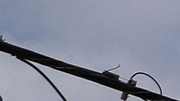 El comercio abriría en la segunda fase aunque sin atender al público.