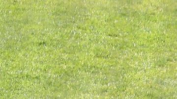 El circuito de la KBO tiene considerado iniciar temporada a principios de mayo.