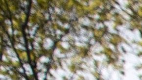 Voluntaria reparte comida en Connecticut.