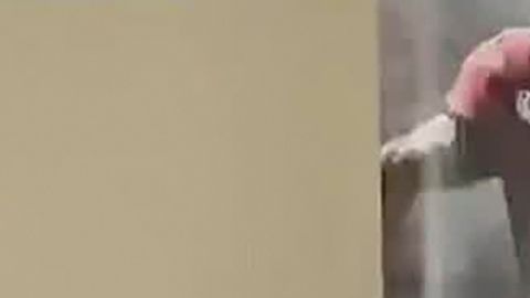 Henry Ruggs III fue el primer receptor abierto en ser seleccionado en el Draft 2020 de la NFL.