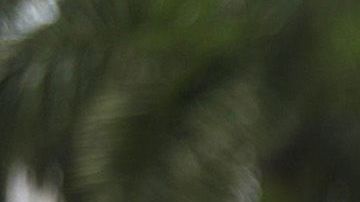 Un grupo de manifestantes frente a la Torre de la Libertad de Miami.