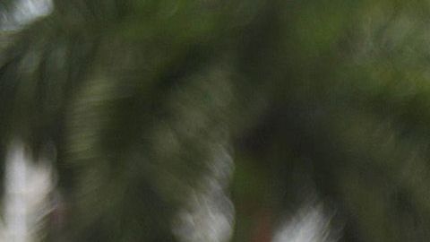 Un grupo de manifestantes frente a la Torre de la Libertad de Miami.