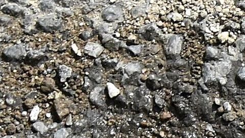 En las últimas semanas se han visto decenas de guantes en las calles de Miami.