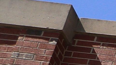 El retorno a los entrenamientos se pone en pausa al menos una semana más.