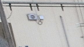 El suministro de carne estaba en riesgo en Estados Unidos, según expertos.