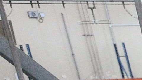 El suministro de carne estaba en riesgo en Estados Unidos, según expertos.