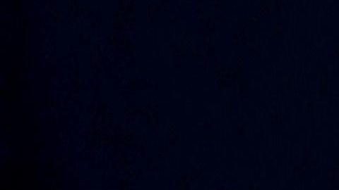 Joe Biden y Michelle Obama.