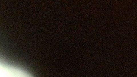 Príncipe Alberto II de Mónaco.