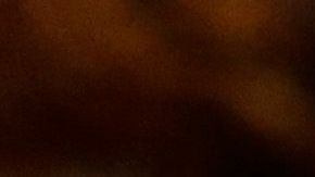 El hijo mayor de George Steinbrenner fue la cara de los Yankees en 2007 y 2008.