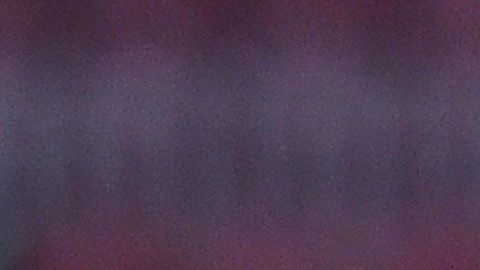 Gerard Piqué y Shakira