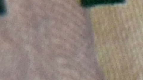 Dólar tipo de cambio peso coronavirus petróleo COVID-19 Donald Trump OPEP