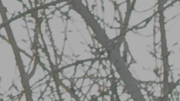 Un McDonald's en China.