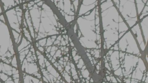 Un McDonald's en China.