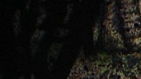 Indiana Jones