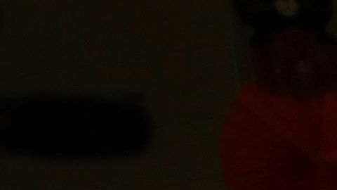 El presidente Trump ha modificado los procesos migratorios.