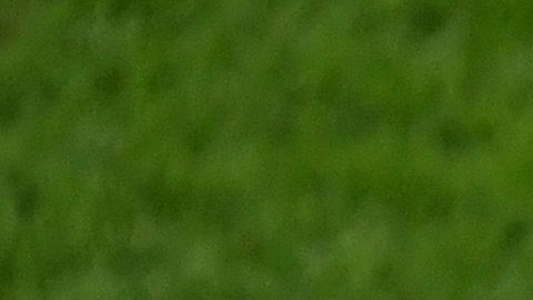 La medida de la FIFA se podría extender hasta el 2021.