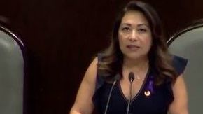 Diputada Maricarmen Cabrera Lagunas.