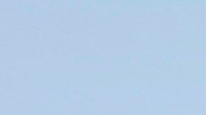 Morales asisitió al Mundial de 2006 con La Volpe.