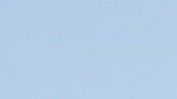 Morales asisitió al Mundial de 2006 con La Volpe.