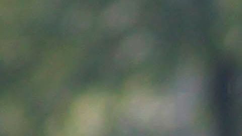 El jugador no ha tenido la actividad esperada.