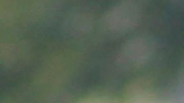 El jugador no ha tenido la actividad esperada.