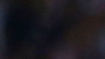 Pizarro no fue convocado por Juan Carlos Osorio a Rusia 2018.