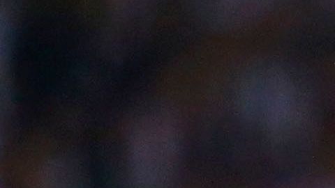 Pizarro no fue convocado por Juan Carlos Osorio a Rusia 2018.