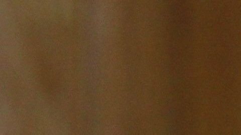 José Ramón es el principal crítico del América.