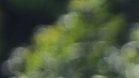 Miguel González "Míchel"